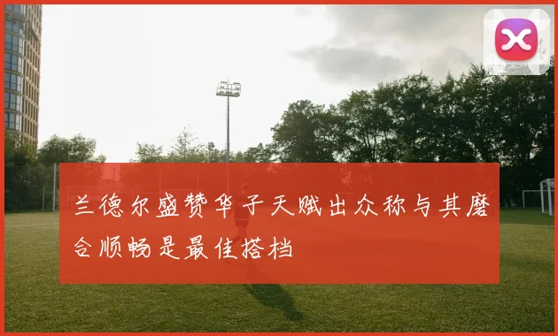 兰德尔盛赞华子天赋出众称与其磨合顺畅是最佳搭档