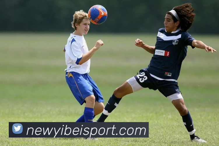 易倍体育发展历程